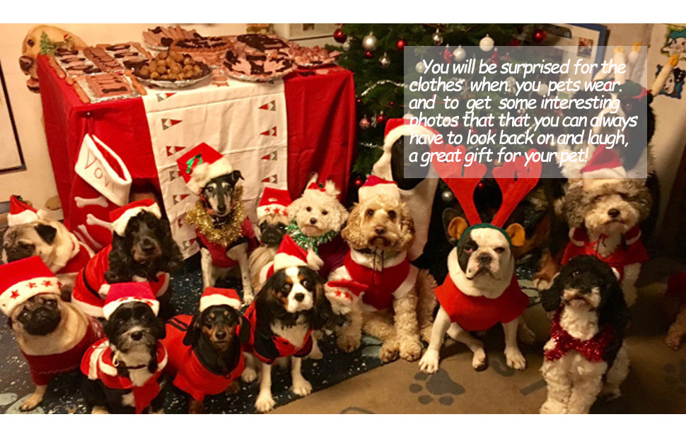 Костюм Святого Миколая для собак, теплий зимовий халат, костюми для собак, тепла куртка, костюми для тварин, регульований костюм Святого Миколая для домашніх тварин (XXL)