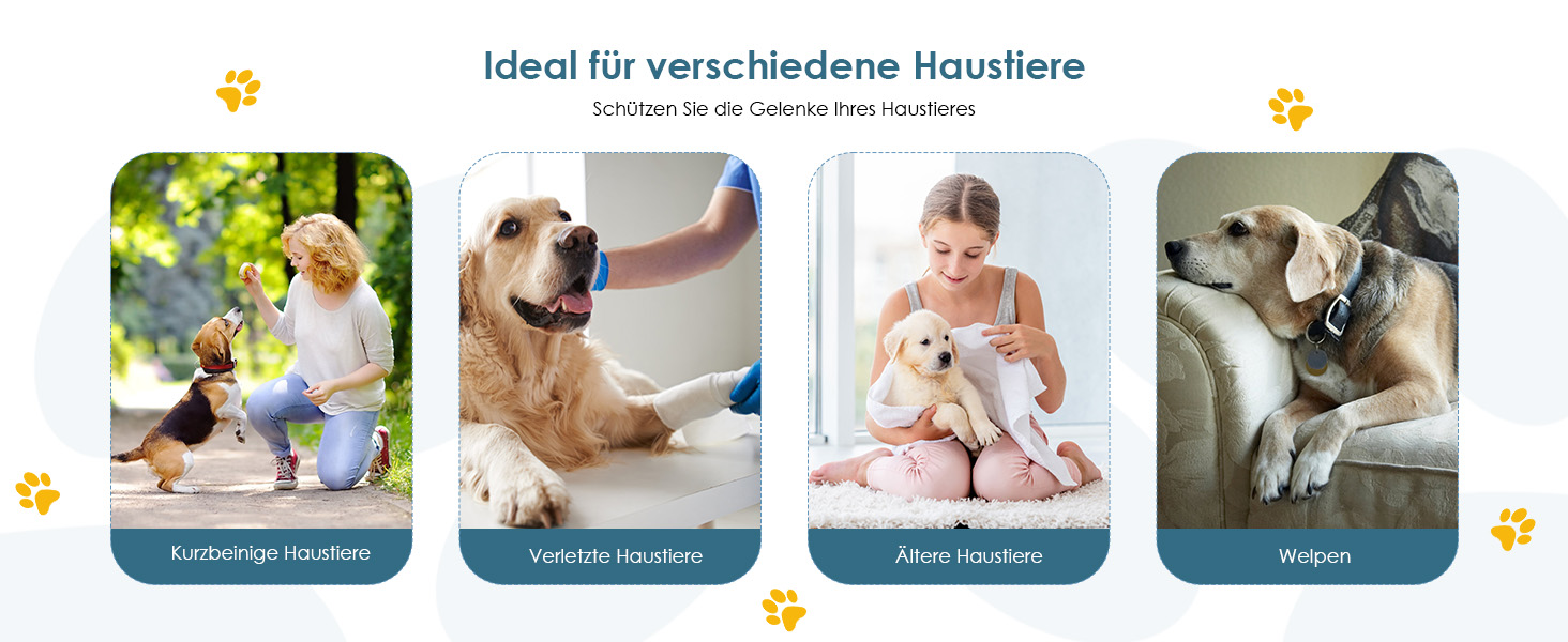 Сходинки для собак маленьких порід, 3 сходинки, складана, для котів та собак, з ящиками для зберігання, підійде для дивану та ліжка