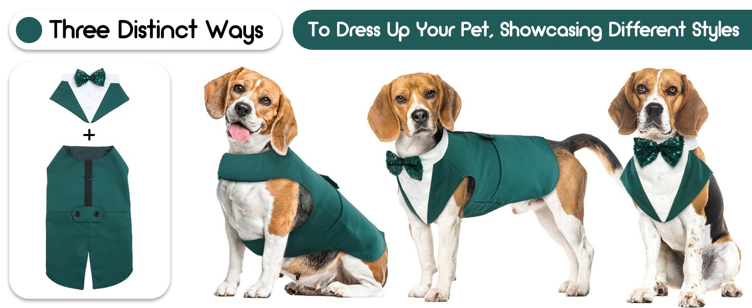 Костюм для собак з банданою, набір для святкування (весілля, день народження, Хелловін) - чорний з сріблястими смугами (M)