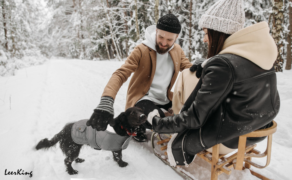Флісовий теплий одяг для собак, зимова куртка, одяг для котів, сірий, M