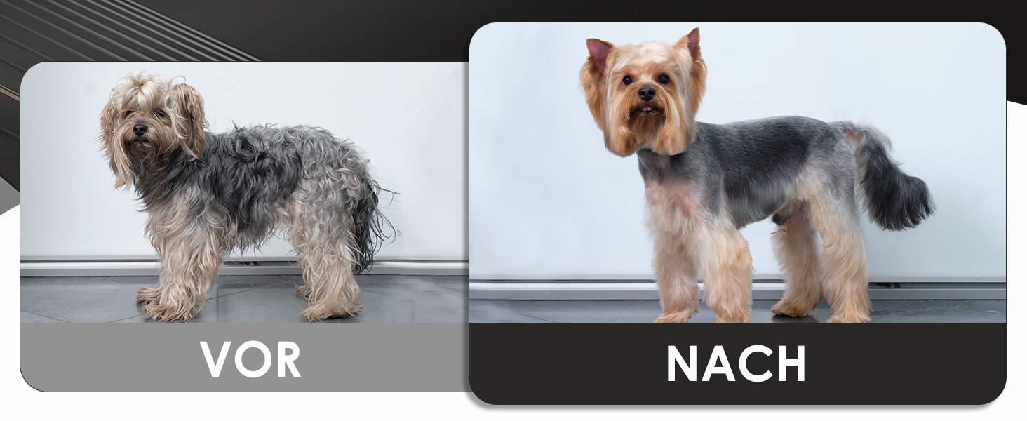 Набір професійних ножиць для грумінгу собак Wenshall 7.0 дюймів (5 шт.)