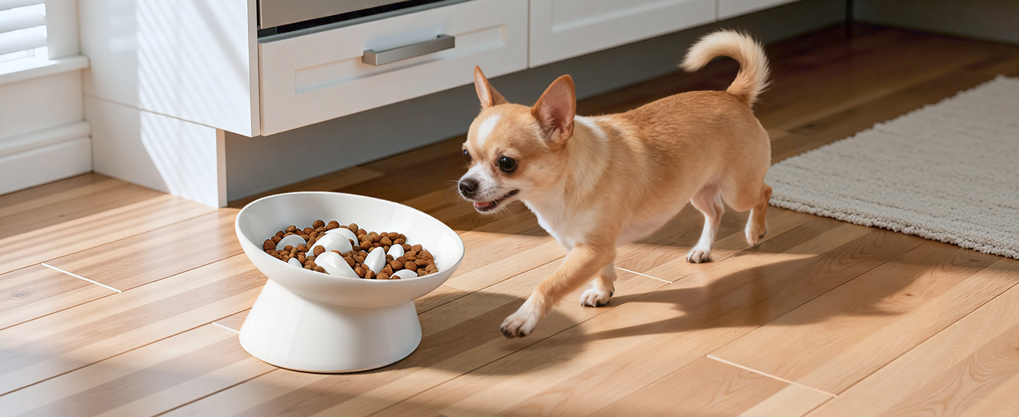Керамічна миска для котів з підняттям, протиковзаюча, для повільного годування, біла