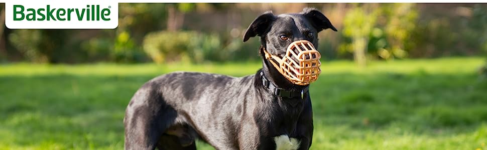 Корзина для собак Baskerville Box Design, розмір 7 (може варіюватися)