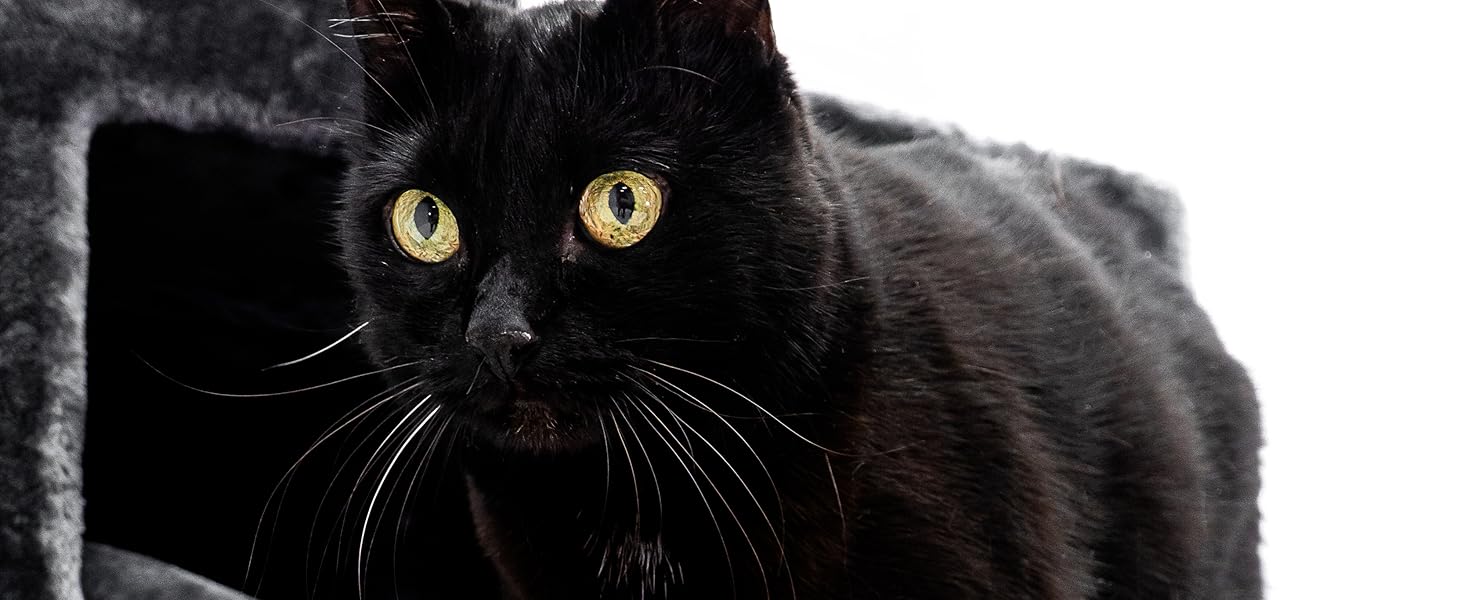 Дряпак для котів Petrebels Maine Coon, Estate, 170 см, XXL, чорний