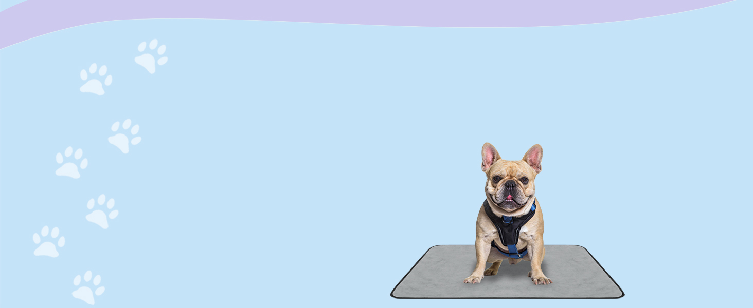 М'яка підстилка для собак Normani - підстилка для тварин з безпечного матеріалу, 40x50 см, 60x80 см, 70x100 см, бежева