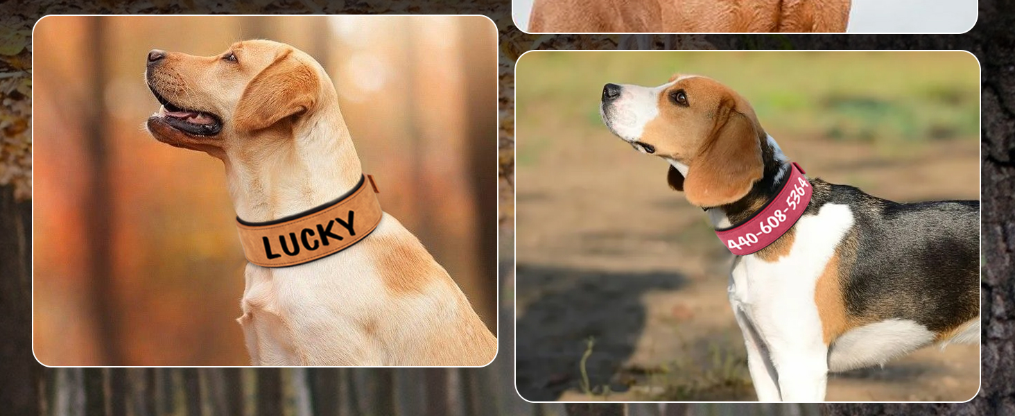 Нашийник для собак середніх та великих порід PET ARTIST з міцної шкіри PU, регульований, з металевою застібкою, для Пітбулів та великих собак, чорний, L (43-51 см)