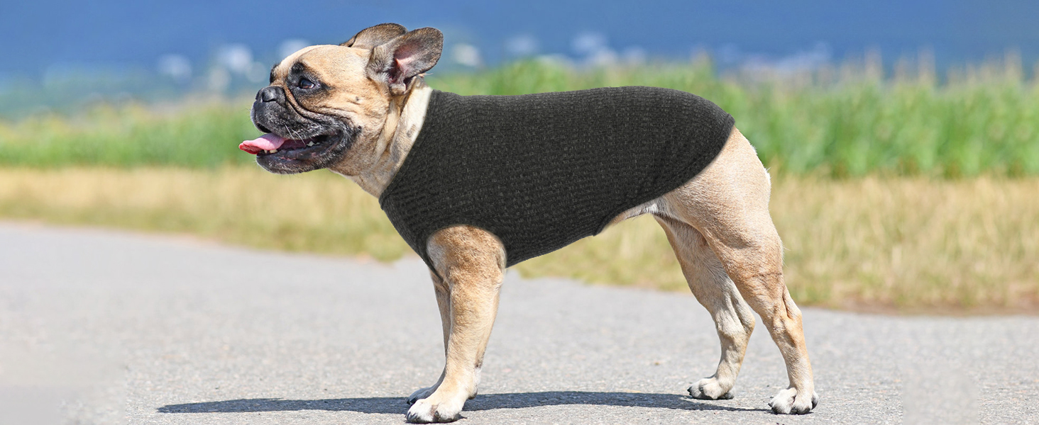 Сорочка для собак Х'юмараян, великі породи, зелена XXL: захист від сонця, еластична, для лабрадорів