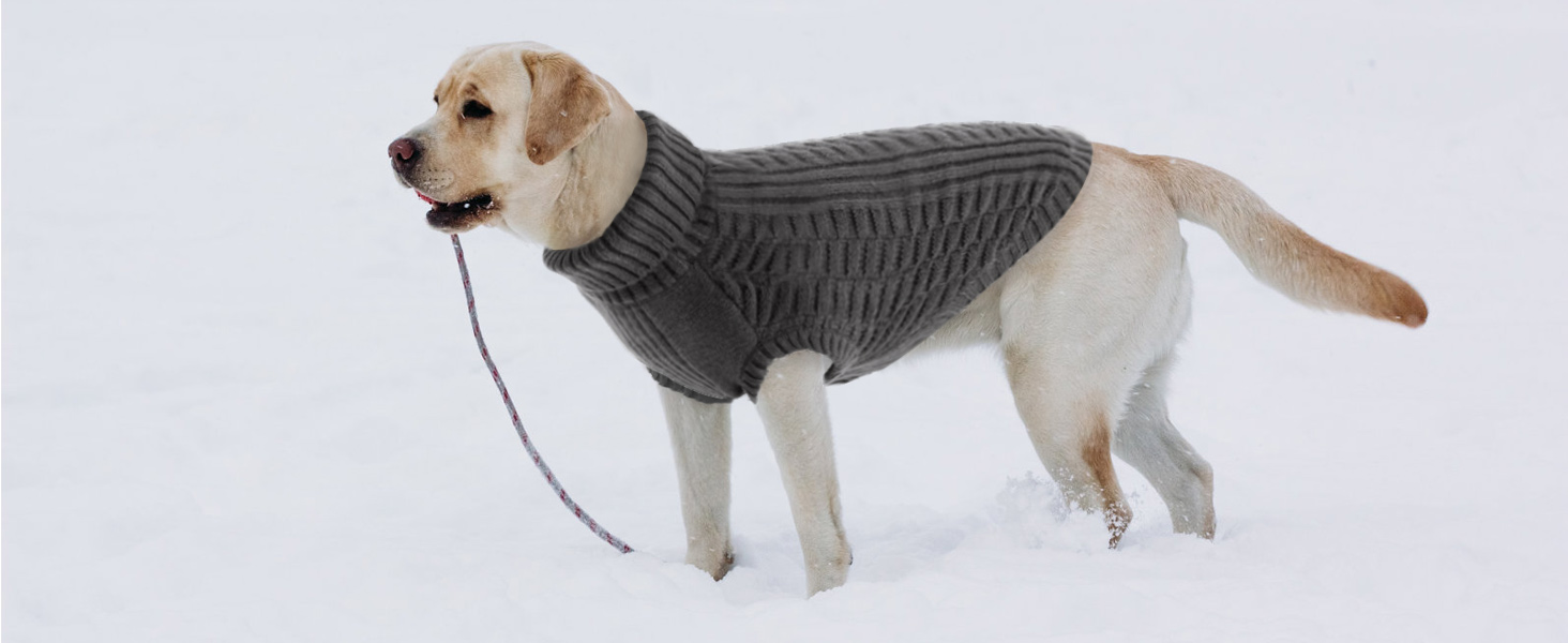 Теплий безрукавний светр для собак Citétoile з коміром-горловиною | М'який фліс, комфортний та дихаючий | Ідеальний для холодної погоди | Червоний, розмір M