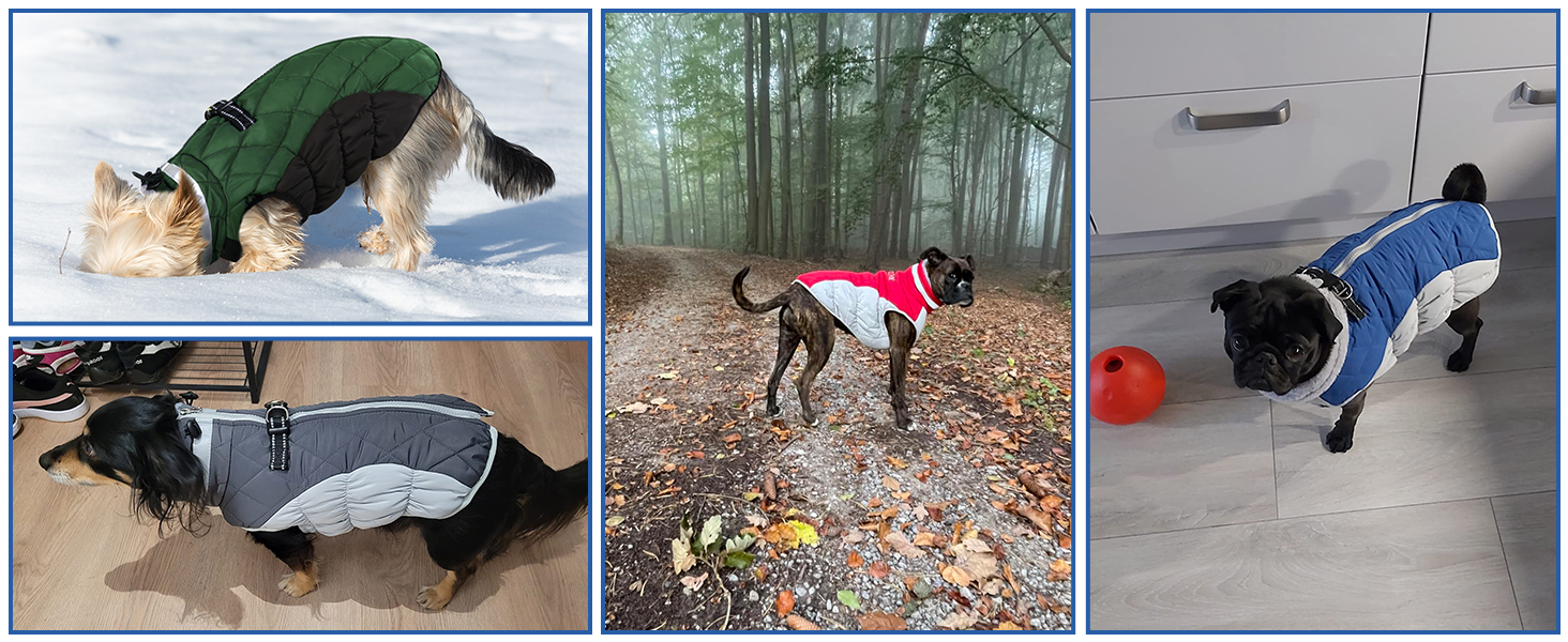Зимовий теплий нашийник для собак CITE TOILE, великі породи, водонепроникний, з флісовою підкладкою, світловідбиваючий, XL, зелений