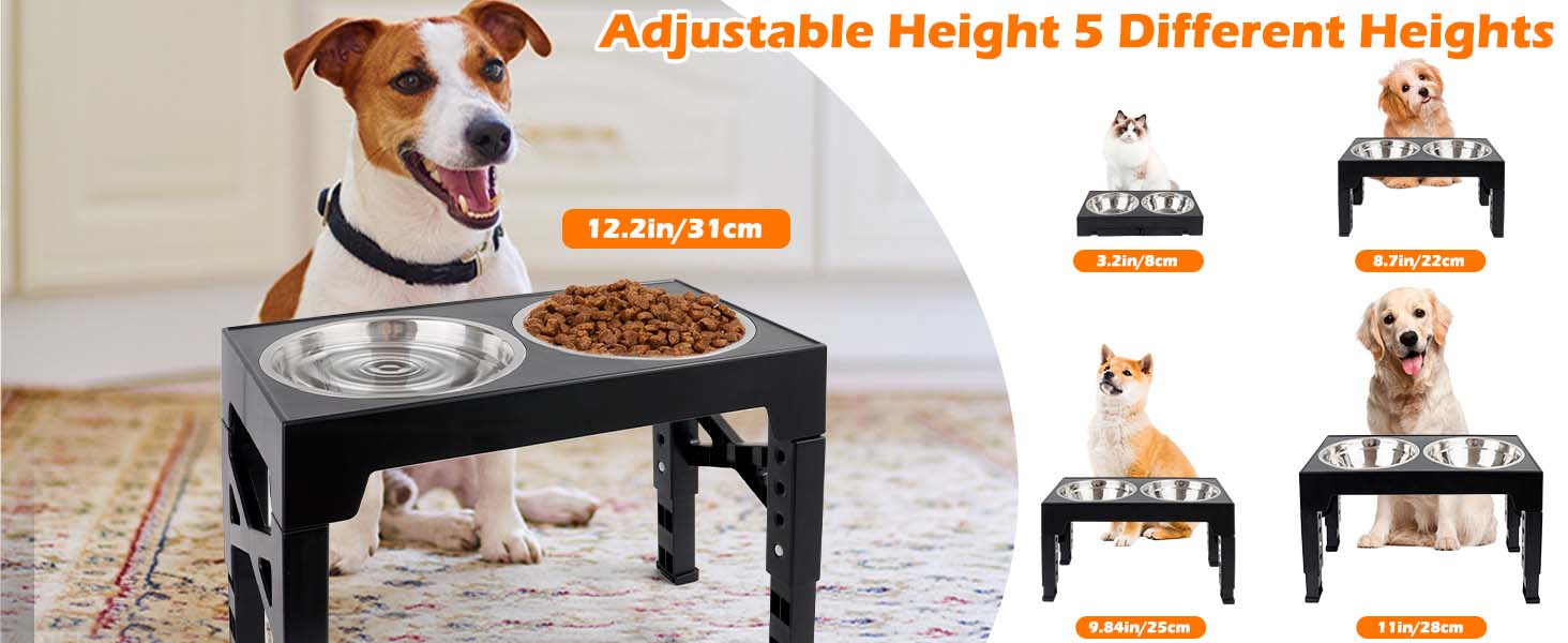Підвищена годівниця для собак та котів, регульована висота, з нержавіючої сталі, 2 миски, чорна