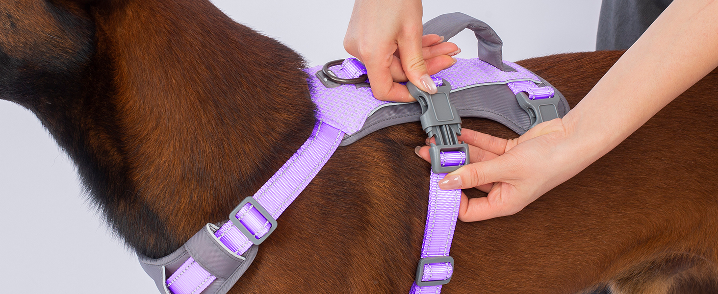 Шлейка Huntboo для собак - антистресова, з ручкою, для малеких, середніх та великих порід (S, M), лавандова