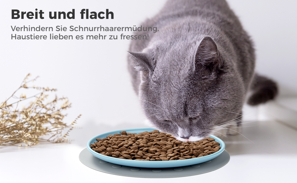 Керамічні миски для котів, 3 шт. з антиковзними килимками, широкі та плоскі миски для котів та кошенят, білі (триколірні)