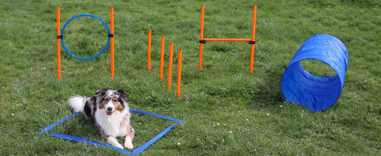 Набір для аджиліті Lemodo для малих та середніх собак | Набір для дресирування з бар'єрами, тунелем та кільцем | Початковий набір для собачого спорту
