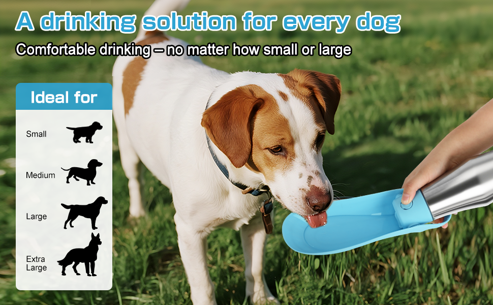 Водяна пляшка для собак на прогулянці - витокозахисна, з нержавіючої сталі, подвійні стінки, вакуумна ізоляція, 750 мл (Блакитна)