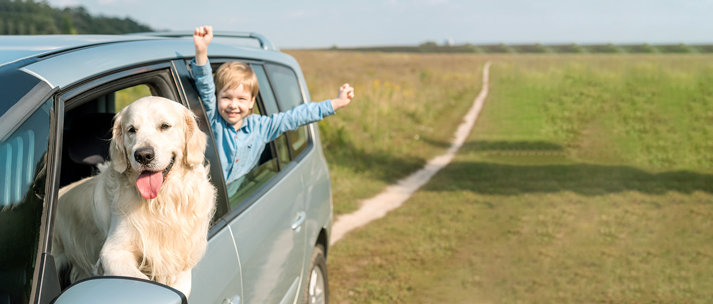 Захисний чохол на заднє сидіння авто для собак Pettycare - водовідштовхуючий, антиковзний та стійкий до подряпин