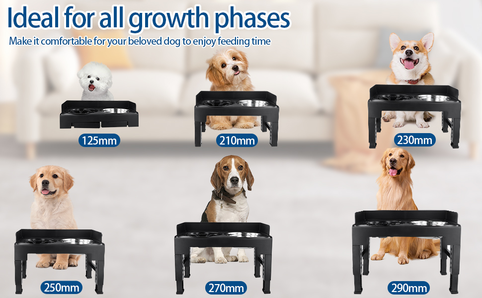 Підвищена годівниця для собак Dokeno, регульована по висоті, велика, для собак великих, середніх та малих порід, миска для повільного годування, не проливаються, стійка для мисок