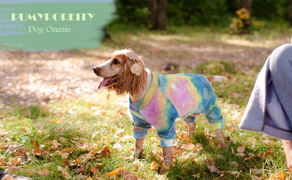 Зимовий теплий жилет для собак, куртка-комбінезон на 4 лапи, вітронепроникний одяг для собак, жилет, куртка, одяг для собак, сорочка для маленьких, середніх та великих собак (Райдуга, M)