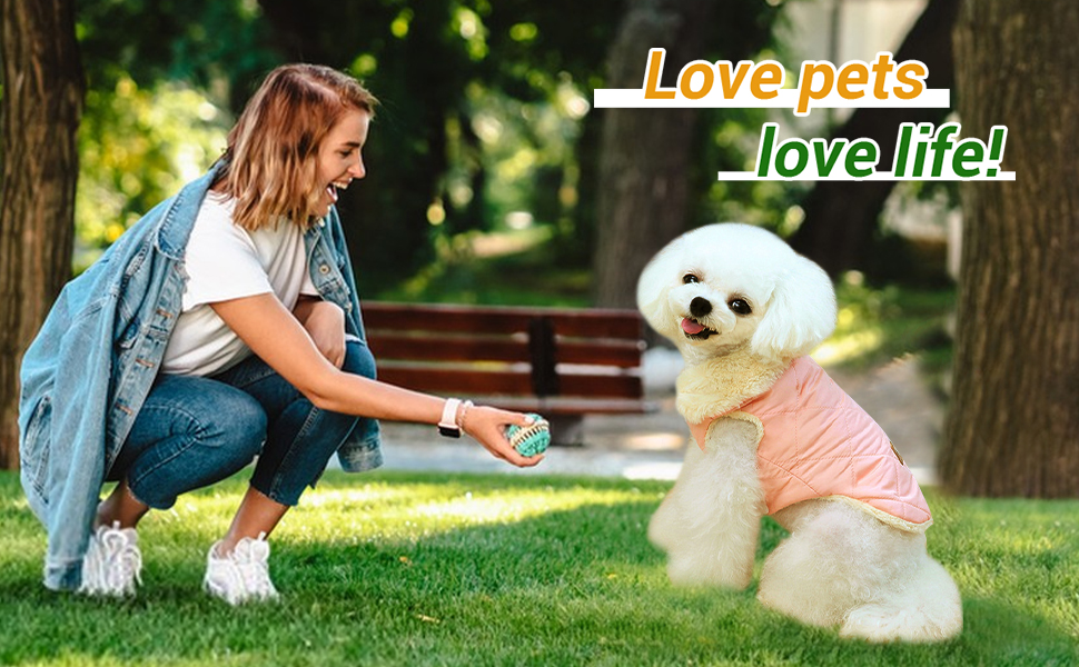 Зимовий одяг для собак: теплий водонепроникний зимовий одяг для собак з флісу, жилет для собак та котів (XXL, бежевий)