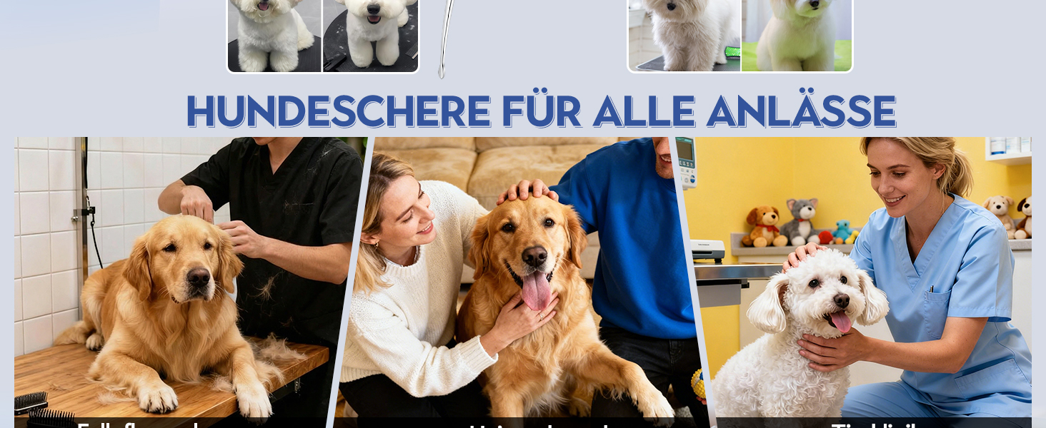 Ножиці для грумінгу собак та котів Dream Reach 6.5 дюймів, вигнуті, з японської сталі 440C, ручна робота, фіолетовий