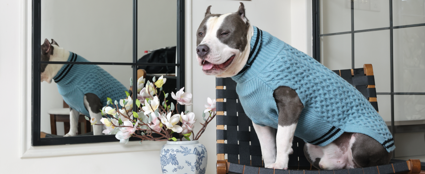 Теплий в'язаний пуловер для собак з коміром-стійкою, блакитний, 3XL XXXL | Підходить для великих собак: Лабрадор, Боксер