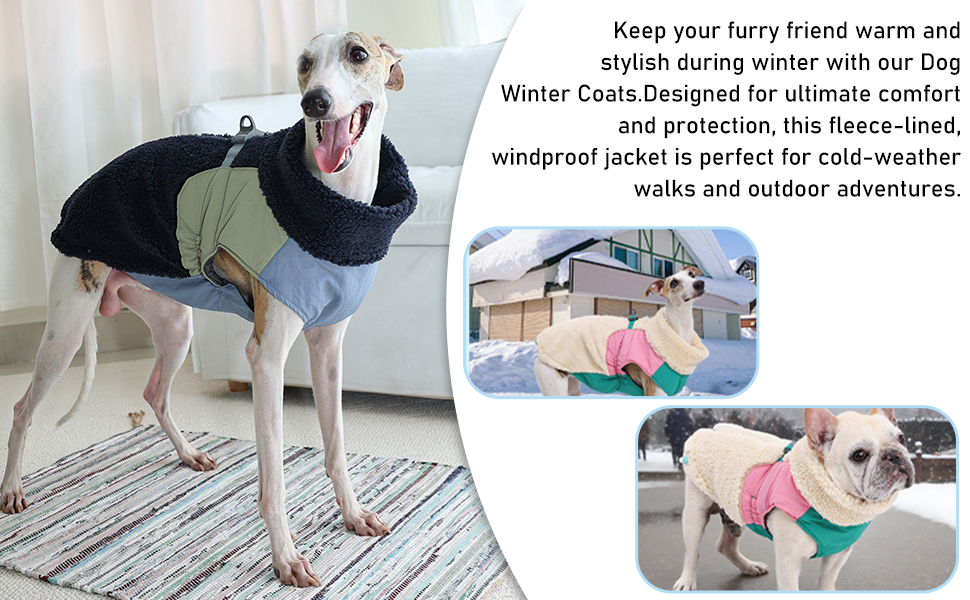 Зимовий теплий одяг для собак, куртка з флісовою підкладкою, вітронепроникна, з отвором для шлейки (Блакитний, S)