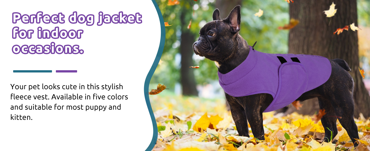 Теплий флісовий жилет для собак Пузаукал: зручний одяг для маленьких та середніх собак, жилетка для собак, тепла сорочка для собак, жилет для котів та собак, колір Павич