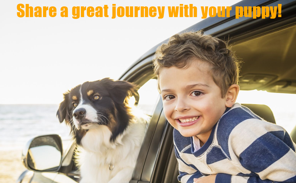 Захист для сидіння авто Tesla Model 3 Y S (2018-2023) - вологостійкий, антицарапинний, для собак