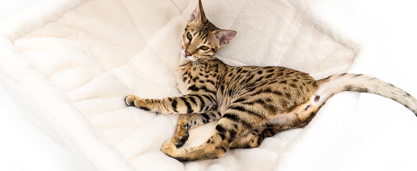 Дряпак для котів Petrebels Skyline XXL, 186 см, для великих котів (Мейн-кун), колір - off-white