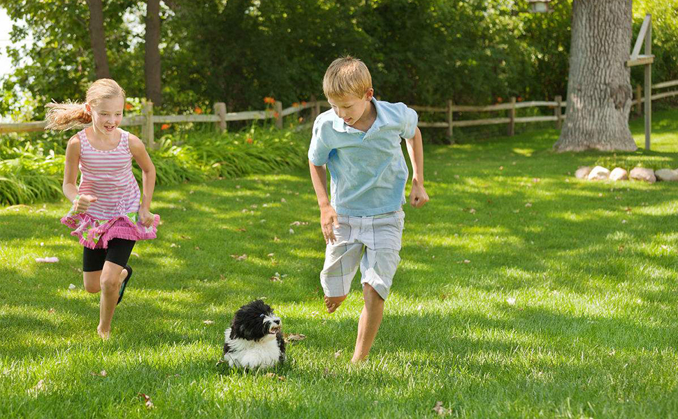 Переносний лежак-переноска для котів та собак X-ZONE, чорний, 44x28x28 см