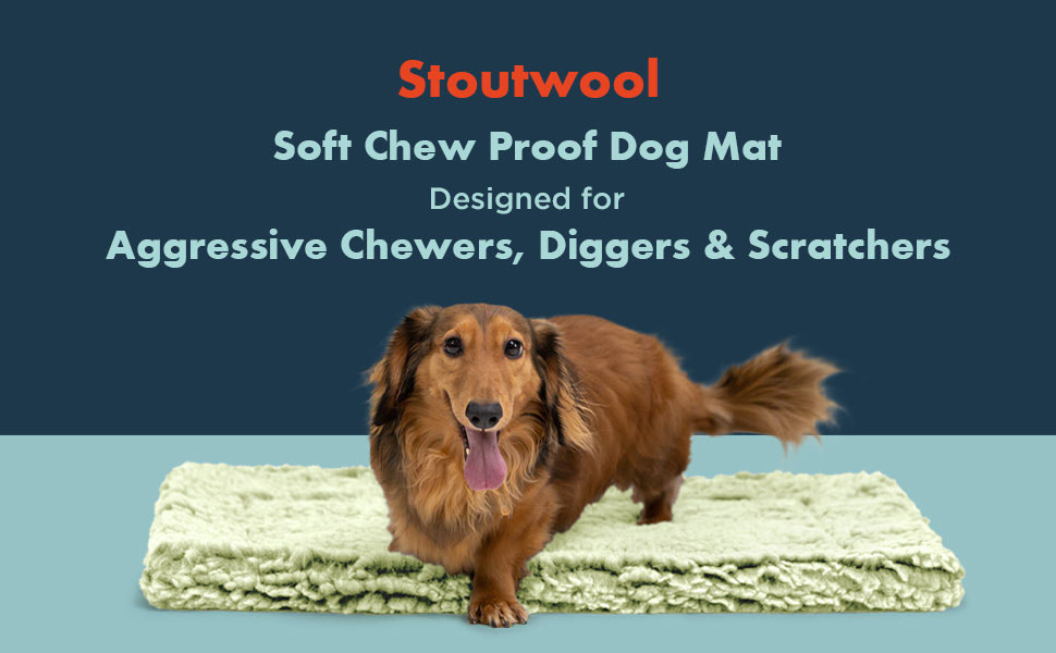 Міцне ліжко для собак Toutwool від жування - м'який лежак у переноску для собак - надійний лежак для агресивних жувальників - можна прати, ідеально підходить для маленьких порід & розмір L 62 см, (XS, Gleam)