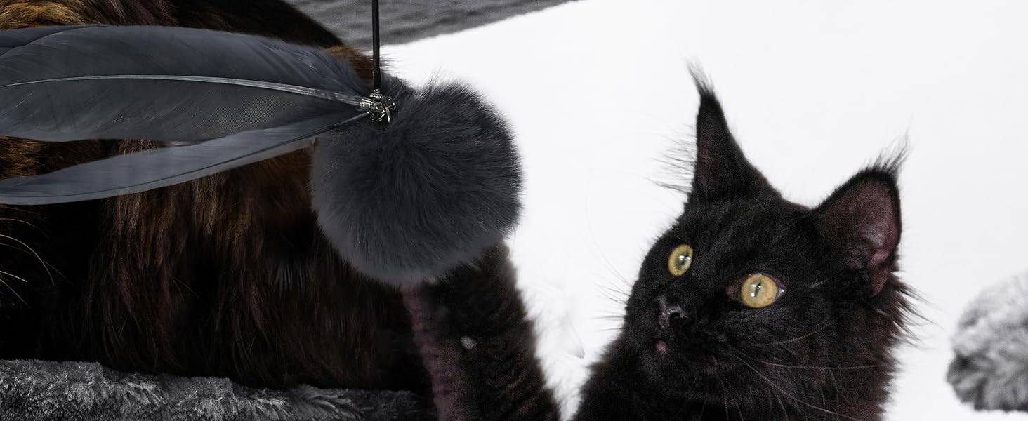 Дряпка для котів Petrebels Maine 90 см, з міцною основою та сизалевим стовпчиком, 40 x 40 x 90 см, чорного кольору