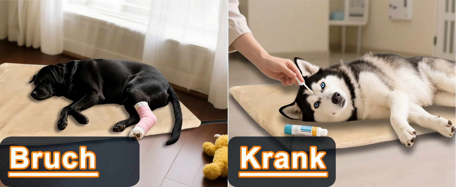 Килимок грілка для тварин 70x45 см: великі собаки, коти, анти-гризучий, з регулюванням температури