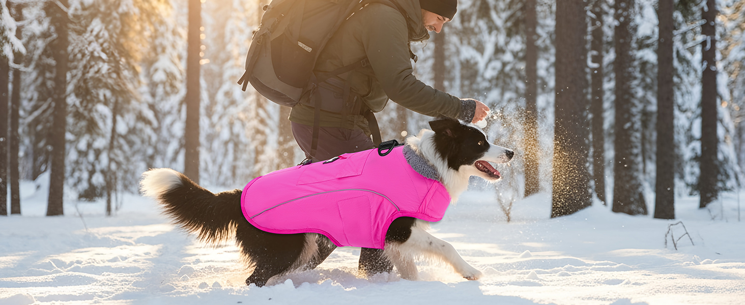 Теплий зимовий одяг для собак Nasjac - куртка з флісовою підкладкою, світловідбиваючими смугами та кишенями, водонепроникна захисна жилетка для собак середніх та великих порід, колір фуксія, розмір L