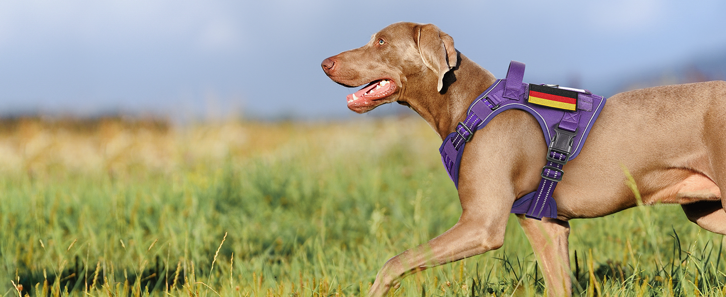 Нагрудник для собак Rabbitgoo середнього розміру, анти-тяга, регульований з ручкою, міцний, тактичний, з металевими пряжками для прогулянок (M, фіолетовий)