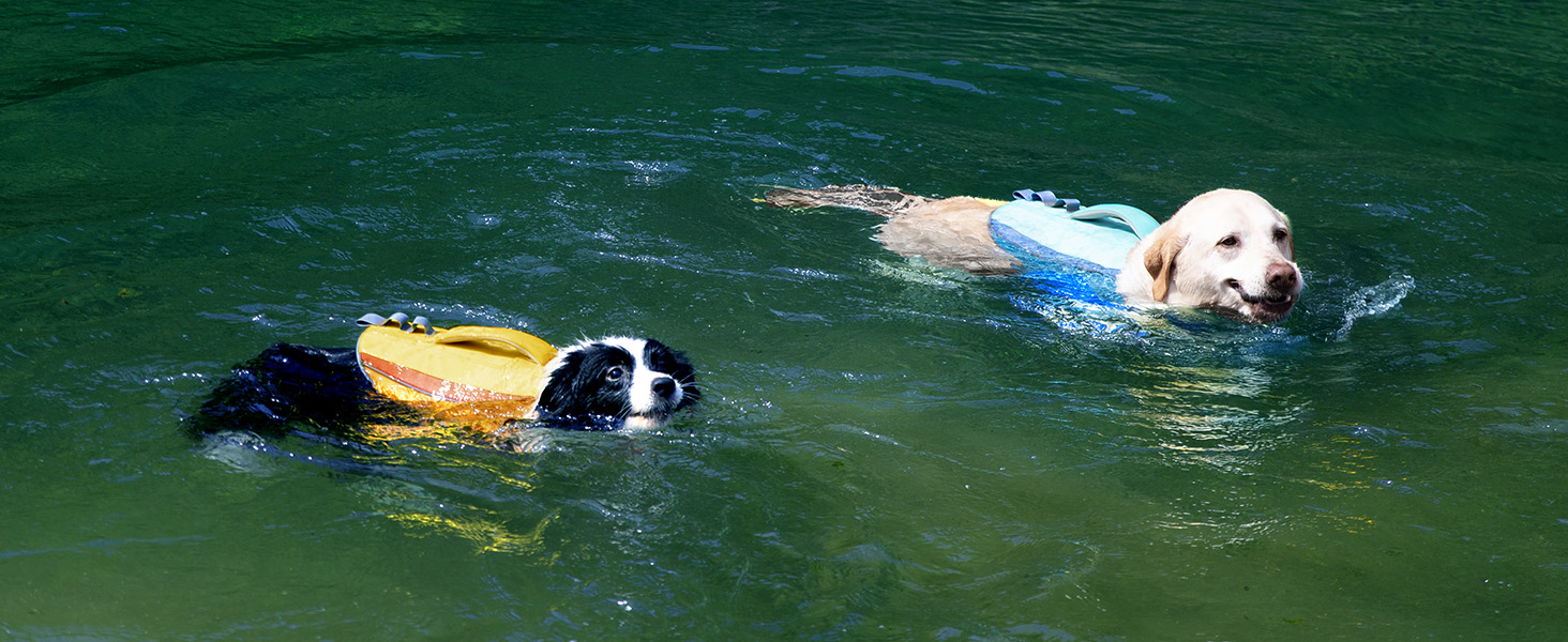 Спасальний жилет для собак ZLX Ripstop Blue L, для малих, середніх та великих собак, регульований, легкий, для плавання та водного відпочинку