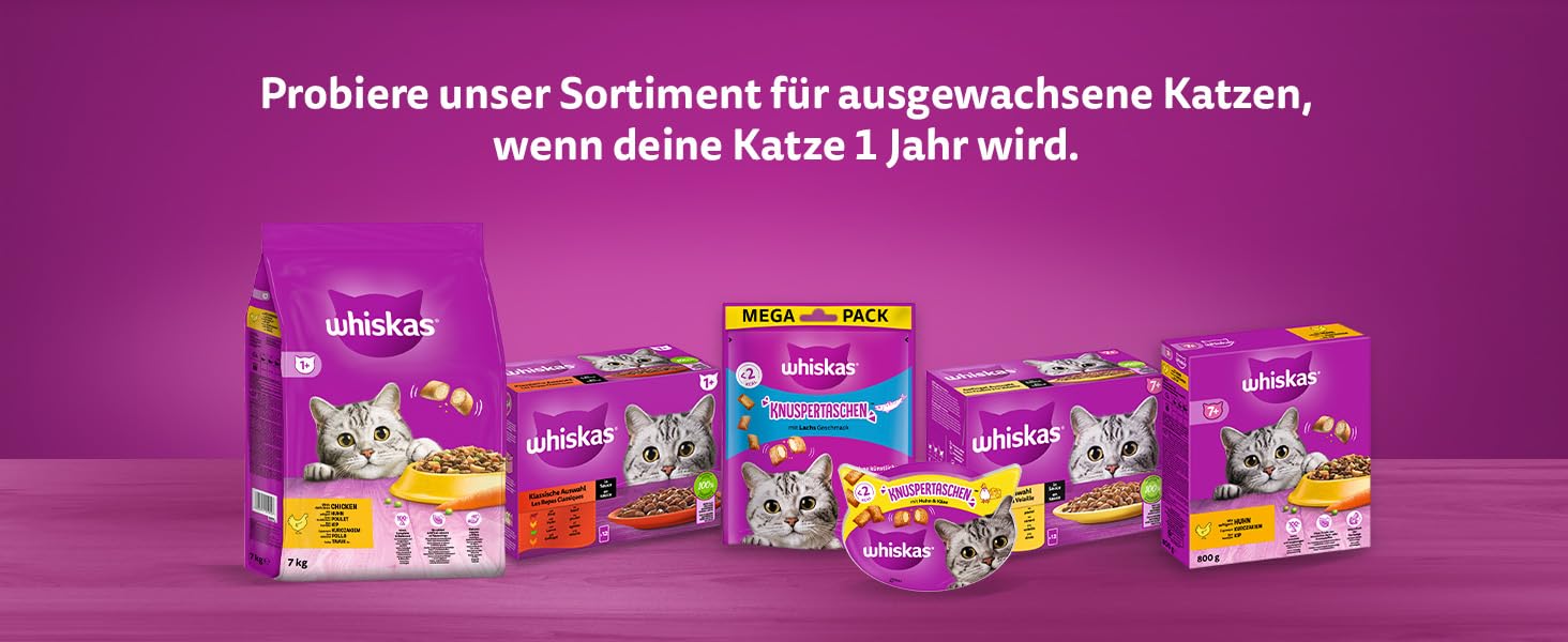 Сухий корм для котів Whiskas Junior з куркою, набір 5 x 800 г