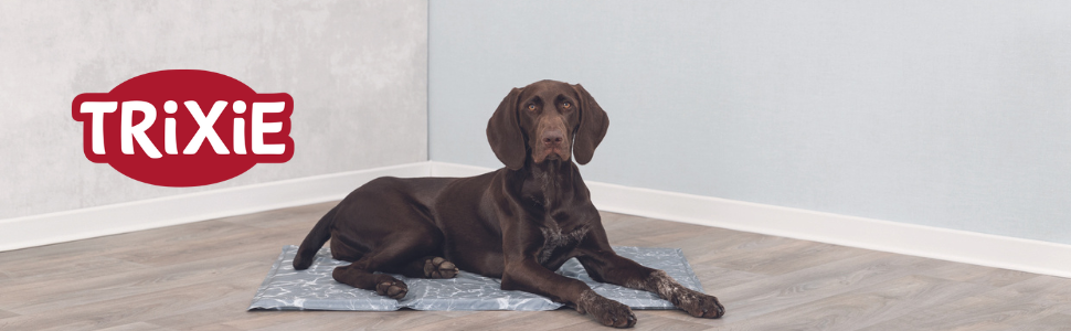 Ліжко для собак TRIXIE з пухом, 50 см, сірий/сріблястий - зручне лежання для маленьких собак, з велюром та плюшем, антиковзаюче, миється, 36528