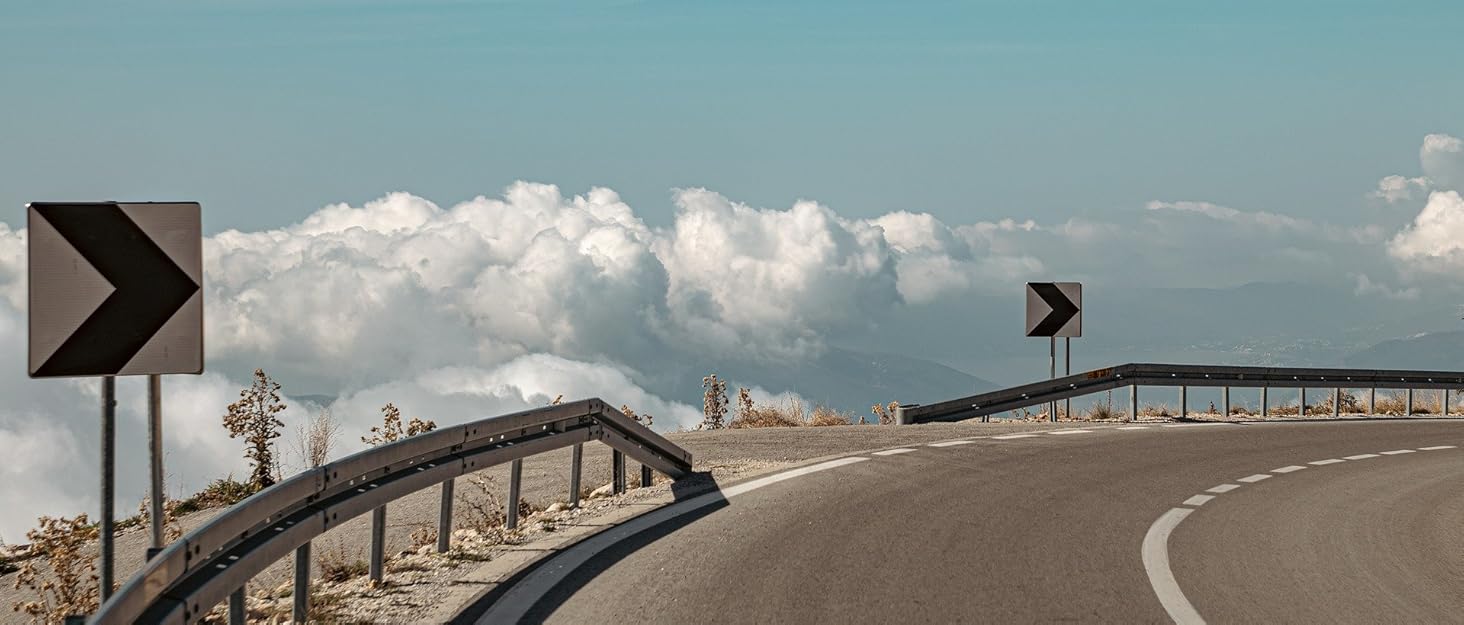 Ремінь безпеки для собак в авто: 2 шт., чорний, 60 см, з регулюванням та амортизацією