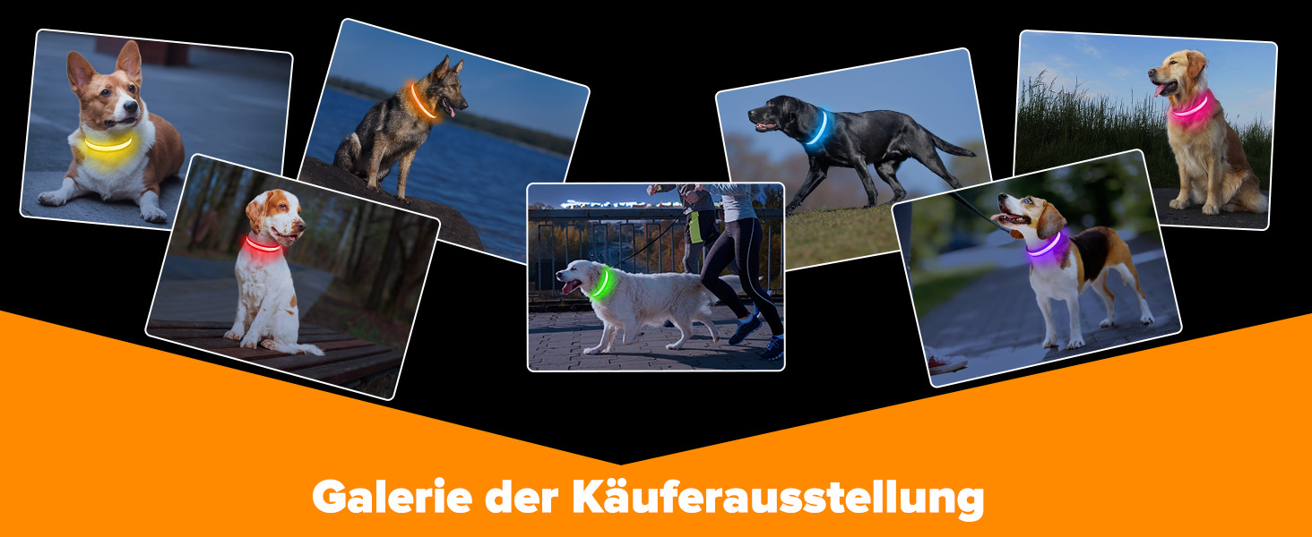 LED нашийник для собак з підсвічуванням, вологостійкий, 7 кольорів, регульований, чорний, 8 режимів, розмір M (38-50 см)