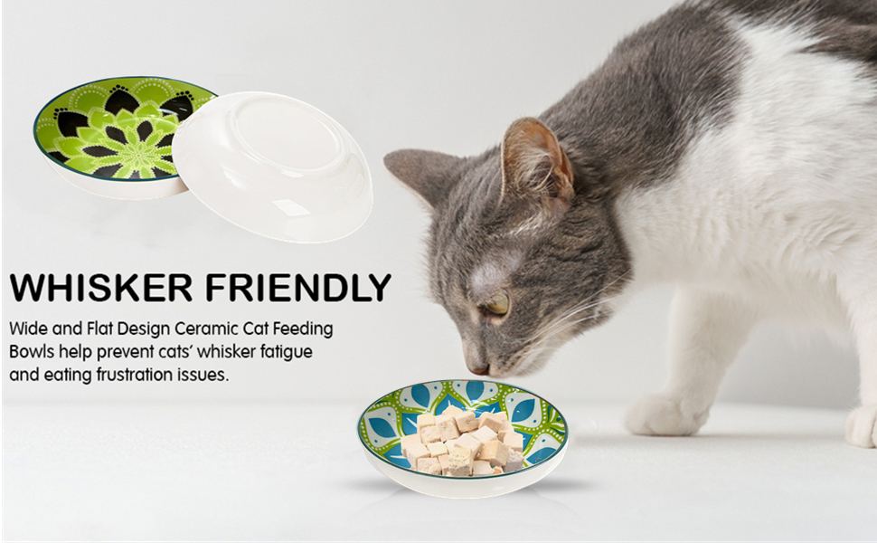 Набір мисок для котів (6 шт), керамічні, 14 см, для води, сухого та вологого корму