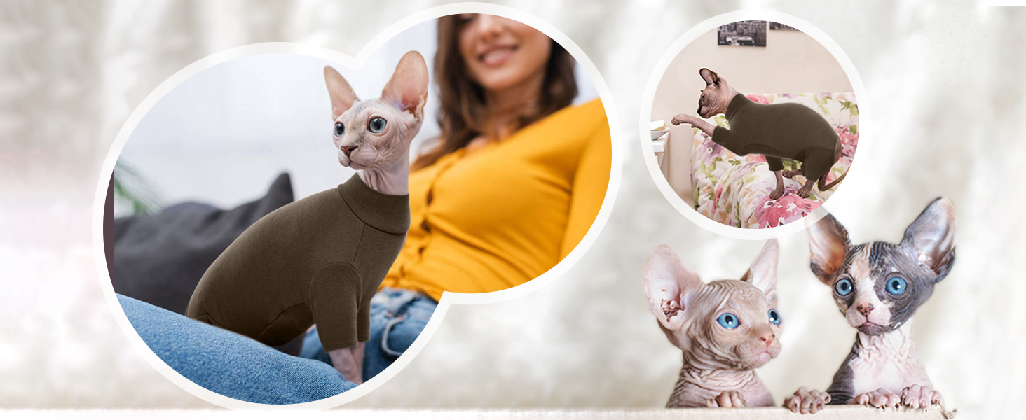 Одяг для котів, пуловер для Sphynx, Cornish Rex, Devon Rex, Peterbal (темно-коричневий, L)