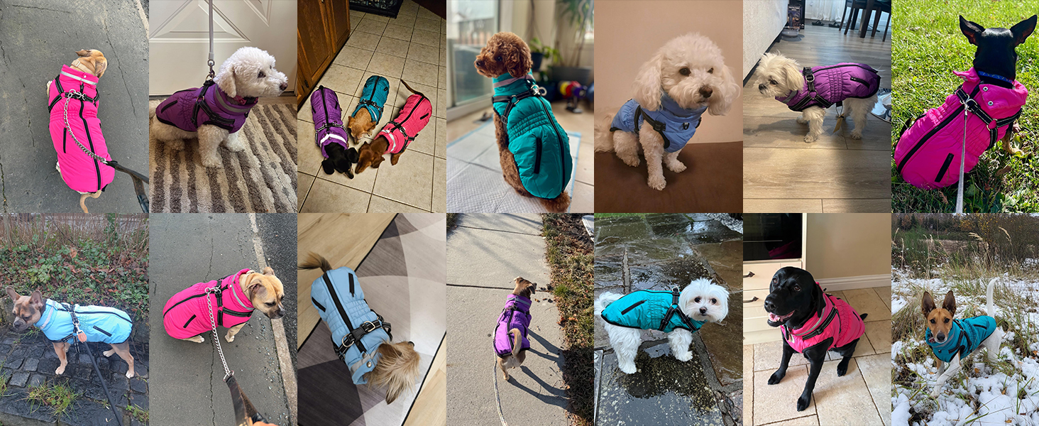 Теплий зимовий одяг для собак та котів - куртка, водонепроникний, зелений (XXL, червоний)