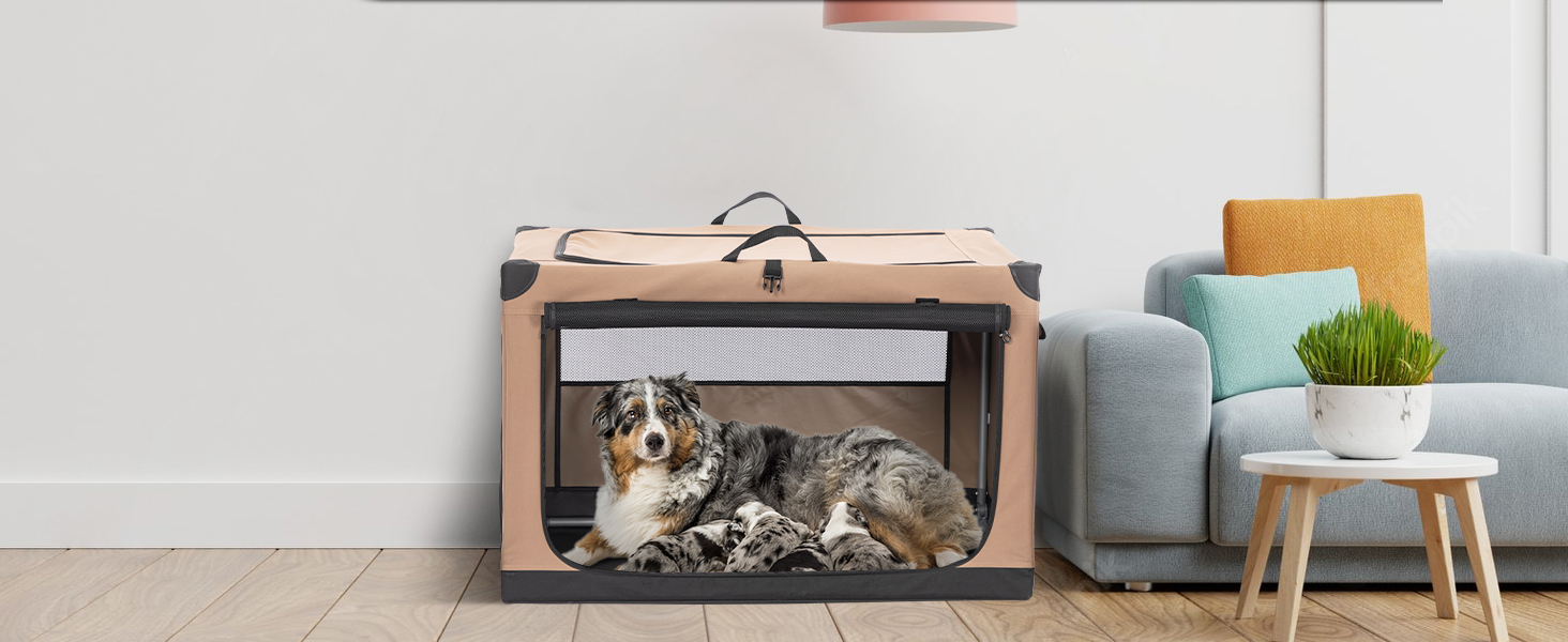 Транспортна переноска для собак Petsfit XL, складана, для дому, велика, середнього та малого розміру, з регульованим чохлом, легка у зберіганні, бежева