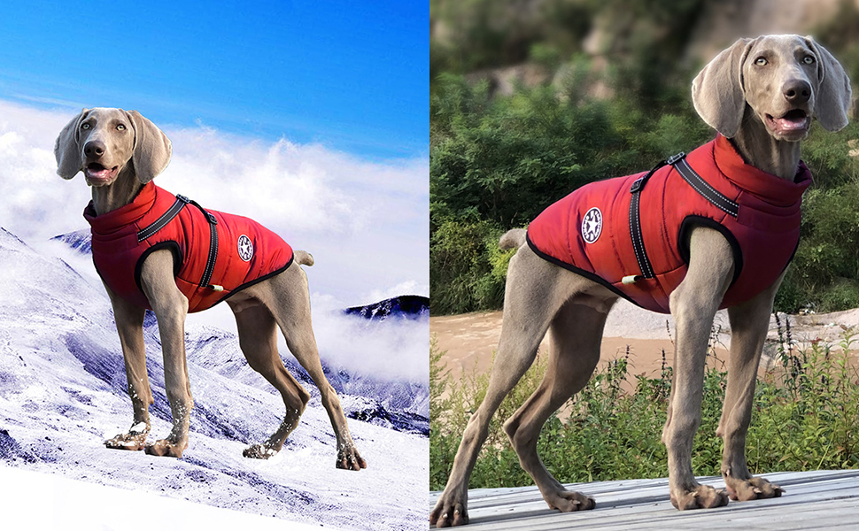 Водонепроникна куртка для собак середнього розміру на зиму. Тепла, з підкладкою, з грудним ременем, світловідбиваюча, без рукавів, з шлейкою, червона M