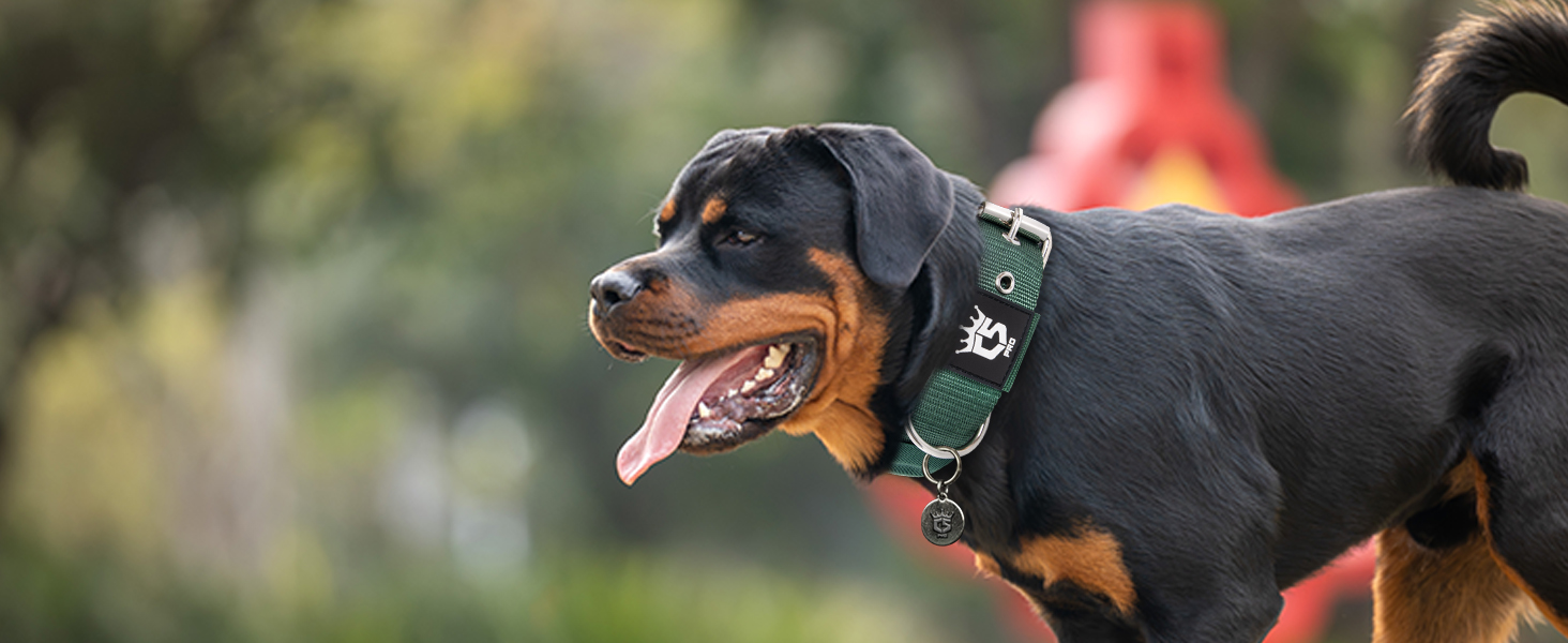 Тактичне обгортання для собак TSPRO, міцне обгортання з металевою застібкою, 3,8 см, регульоване та товсте для собак середніх та великих порід (зелене M), розмір M-H (регульоване 40-48 см), зелене