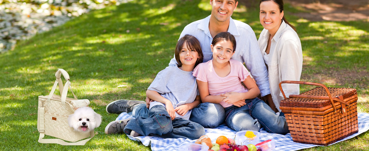 LCUHAVA Сумка-переноска для собак маленьких порід, до 5 кг, 41 x 30 x 18 см, складана, дихаюча, з ременем безпеки, для собак, кроликів, котів