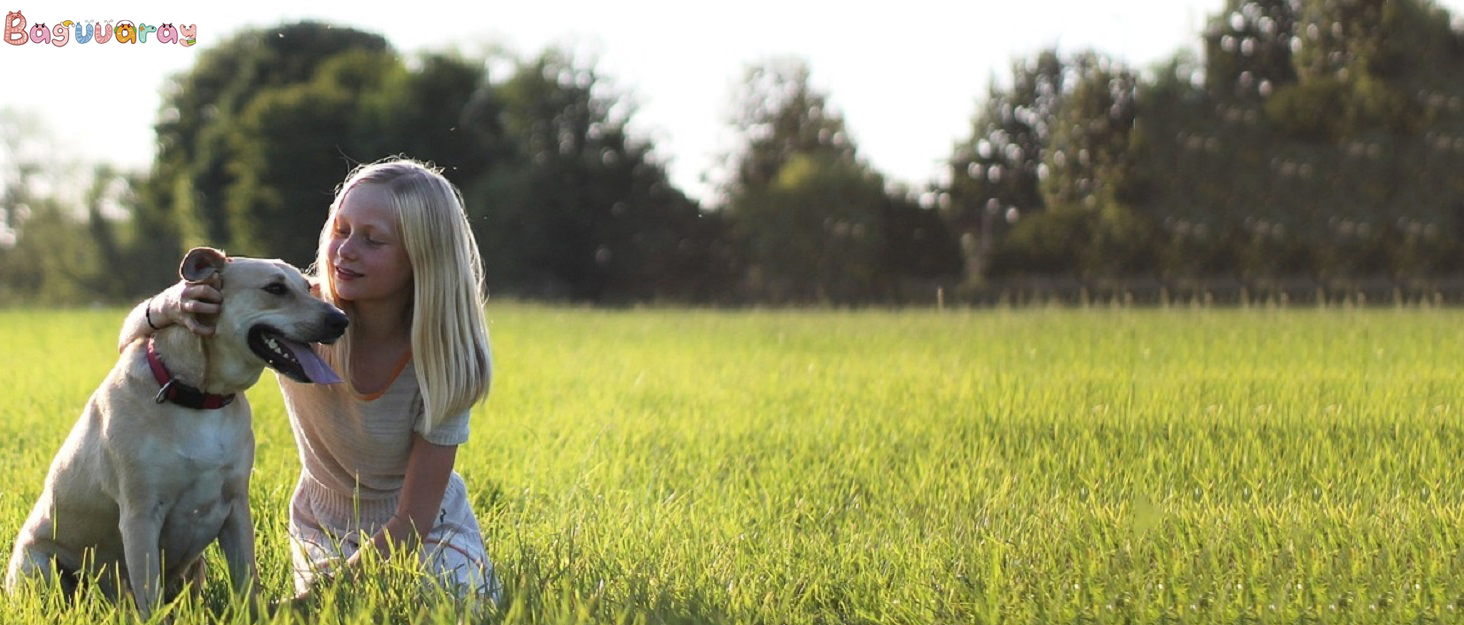 Туннель для котів, іграшка-труба, складаний тунель для кошенят, цуценят, кроликів. 3 шт. блакитний