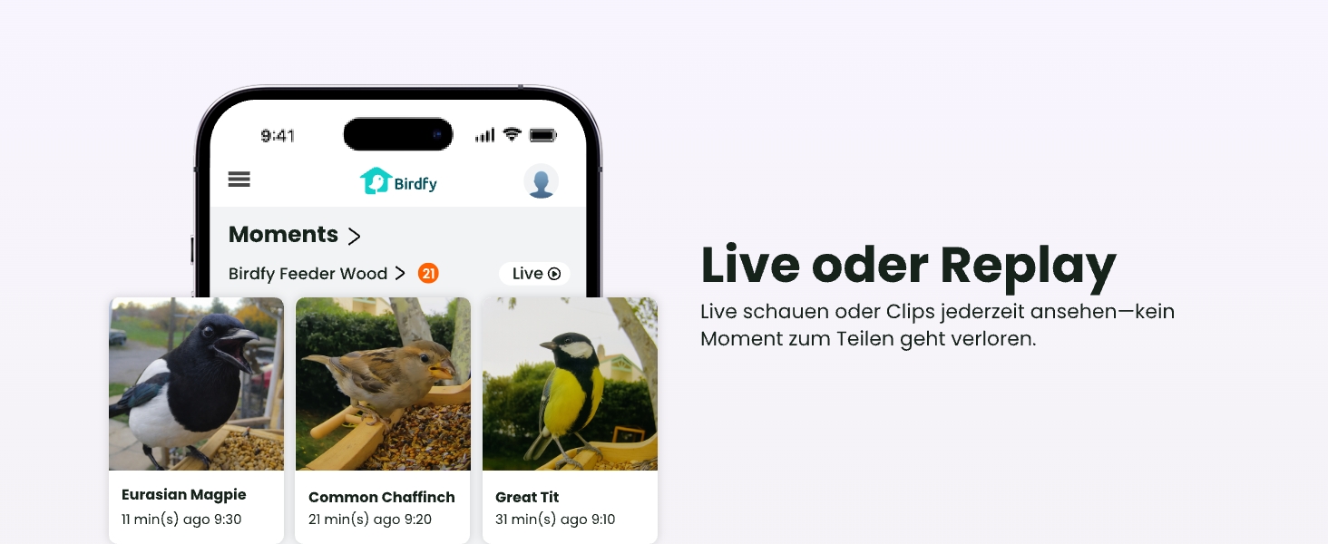 Розумна годівниця для птахів Birdfy з камерою 1080P, сонячною панеллю та ШІ-розпізнаванням 6000+ видів птахів, водонепроникна дерев'яна годівниця з App Live-переглядом