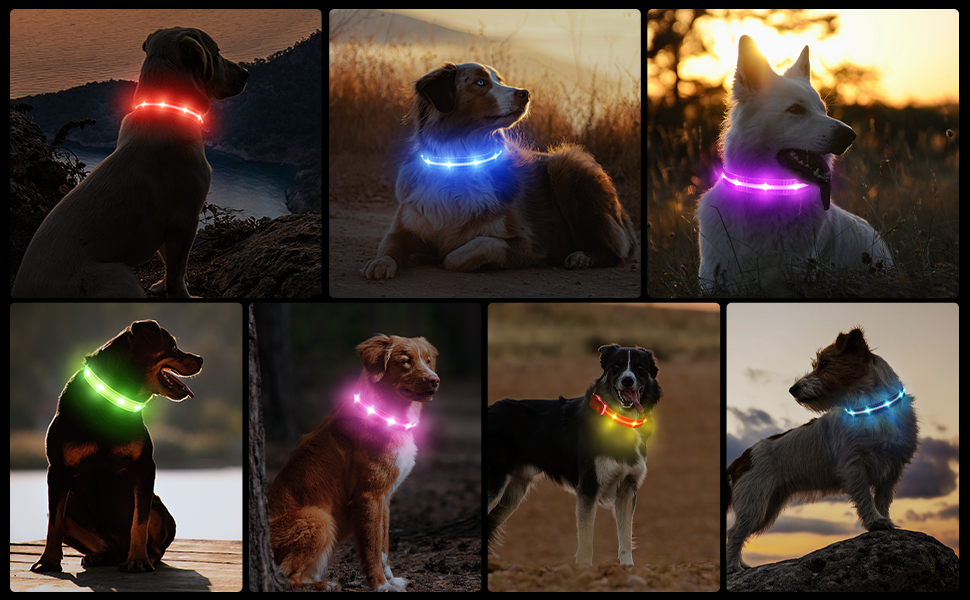 Світлодіодне нашийник для собак Masbrill з підзарядкою, 7 кольорів RGB, 8 режимів свічення, регульований, водонепроникний, для собак малого, середнього та великого розміру, чорний, розмір M