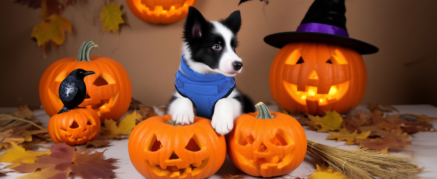 Тепла зимова куртка для собак з повним об'ємом, водонепроникна жилетка з нагрудником, підходить для цуценят, синього кольору